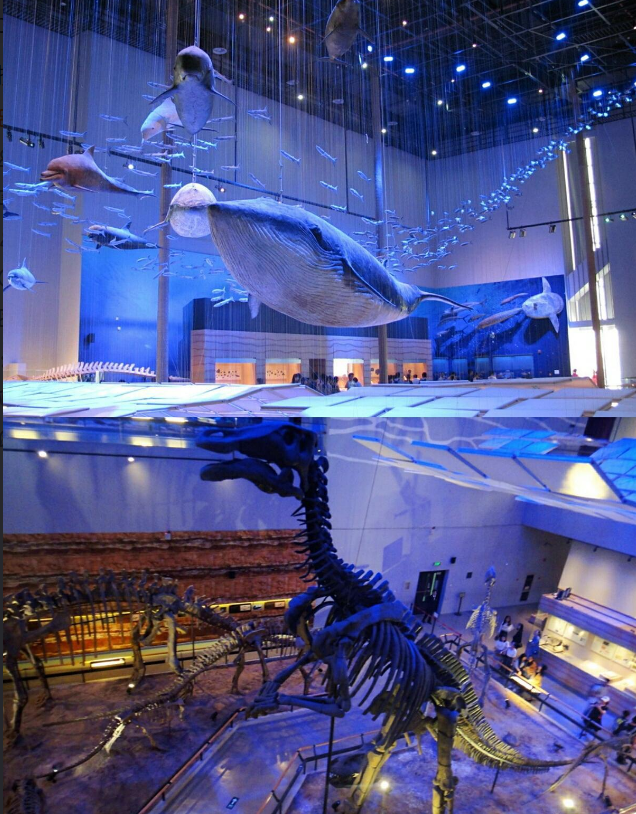 土著的忠告:广州旅游指南